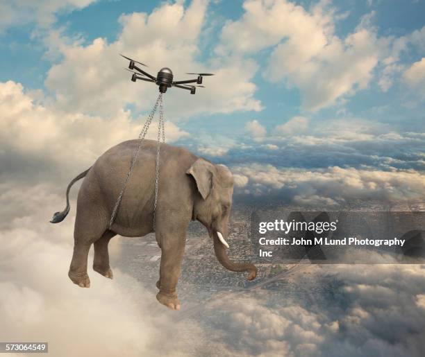 flying drone carrying elephant in clouds - flying drone stock-fotos und bilder