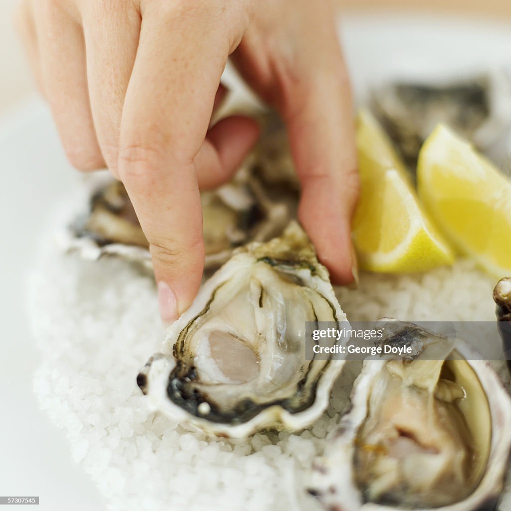 Close-up of a young woman's hand picking an oyster from a bed of ice