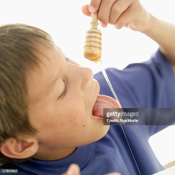 young boy (10-11) holding a honey dipper with honey over his mouth - tee reel stock pictures, royalty-free photos & images