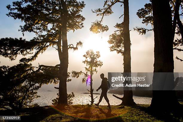 caucasian hiker walking near ocean - mendocino stock pictures, royalty-free photos & images