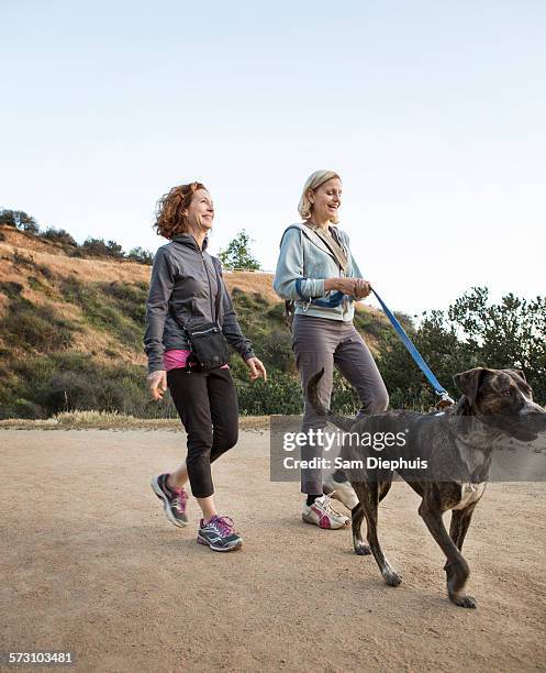 caucasian women walking dog on dirt path - tough love stockfoto's en -beelden