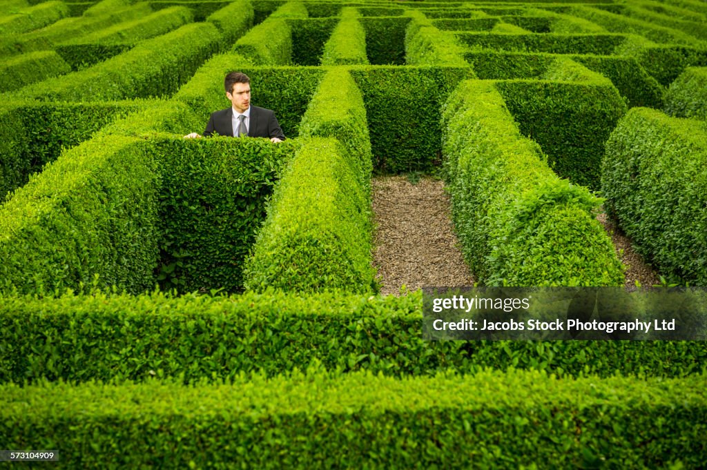 Caucasian businessman trapped in hedge maze