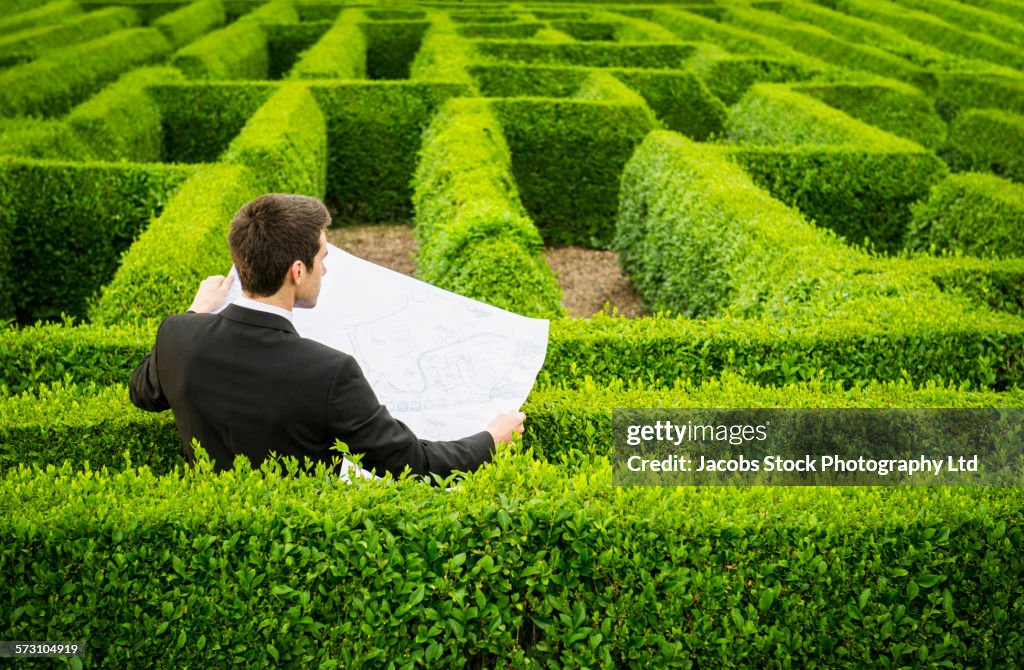 Caucasian businessman reading map in hedge maze