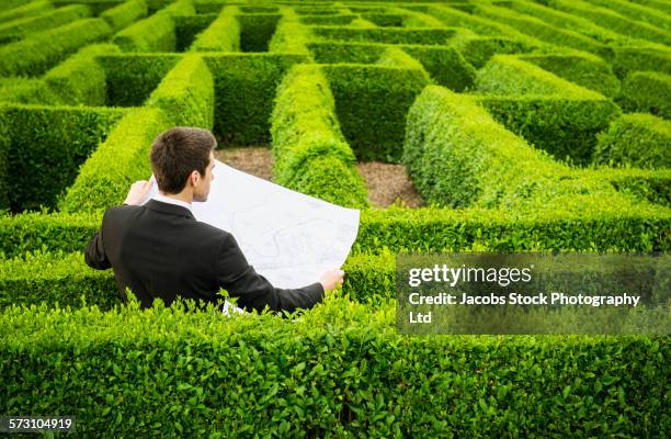 caucasian businessman reading map in hedge maze - maze stock pictures, royalty-free photos & images