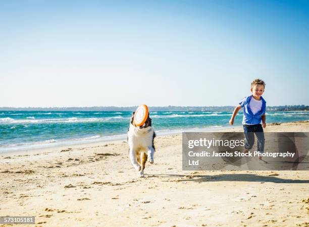 caucasian boy playing with dog on beach - flying disc stock pictures, royalty-free photos & images