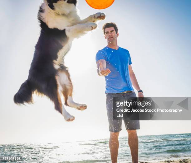 caucasian man playing with dog on beach - frisbee stock-fotos und bilder