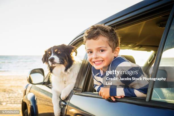 caucasian boy and dog in car windows on beach - children only photos stock pictures, royalty-free photos & images