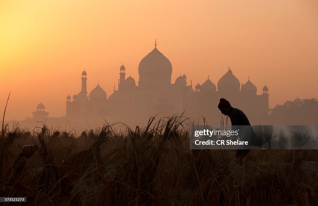 Taj Mahal at sunrise, Agra, India