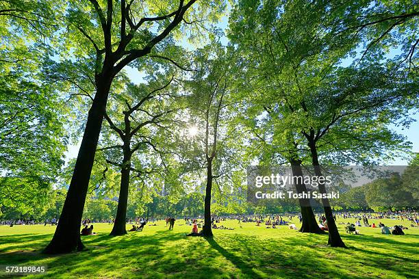 people are relaxed at sheep meadow in spring. - sheep meadow central park stock pictures, royalty-free photos & images