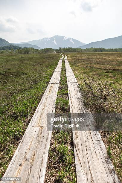 half and half - oze national park stock pictures, royalty-free photos & images