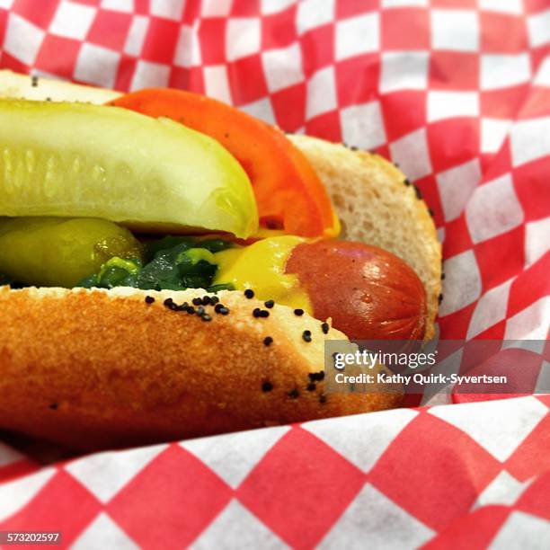 hot diggity dog - no diggity stock pictures, royalty-free photos & images