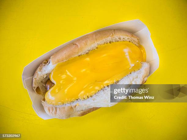 hot diggity dog - no diggity stock pictures, royalty-free photos & images