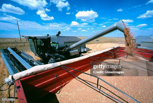 close-up of combine loading harvested wheat into truck. cheyenne, wy - threshed stock pictures, royalty-free photos & images