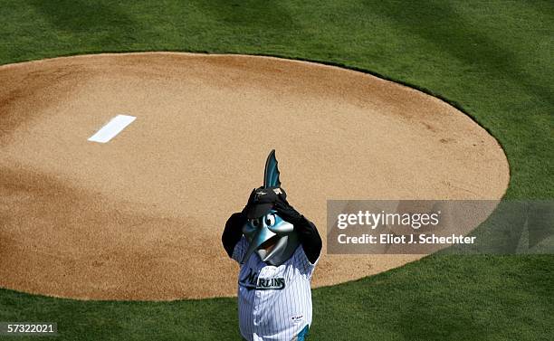 Billy the Marlin, the Florida Marlins mascot, puts on his cap before the start of the game against the San Diego Padres on April 11, 2006 at Dolphins...