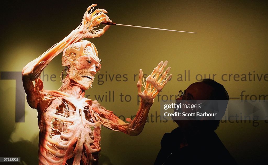 Bodies Exhibition Opens In London