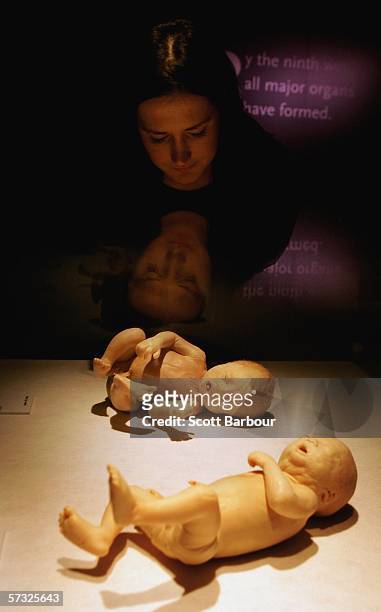 Woman examines an exhibit of a 30 and 32 week old foetus during the Bodies.....The Exhibition on April 12, 2006 in London, England. The exhibition...