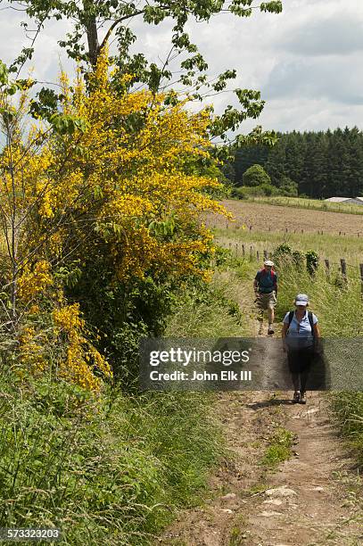 santiago de compostela pilgrimage trail - aveyron bildbanksfoton och bilder