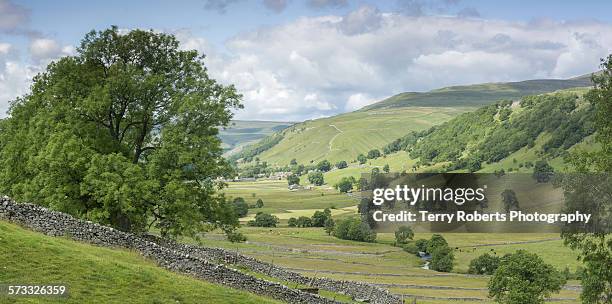 a yorkshire dale - wharfdale stock pictures, royalty-free photos & images