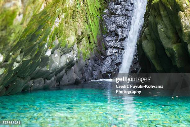osaka waterfalls, - gunung mulu national park stock pictures, royalty-free photos & images