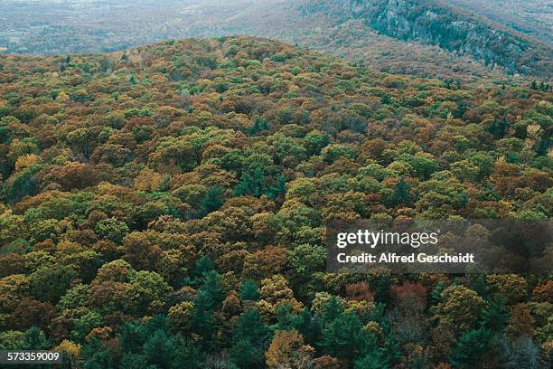 Autumn foliage in New Paltz, New York State, October 1984.