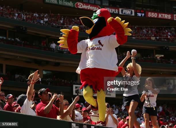 Fredbird, the mascot for the St. Louis Cardinals, tries to get the fans into the game on April 13, 2006 at the Busch Stadium in St. Louis, Missouri....