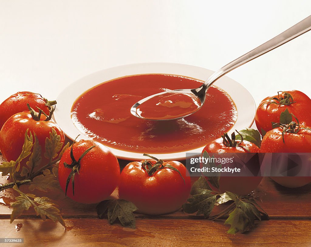 Close-up of teaspoon in a bowl of tomato sauce surrounded by whole tomatoes