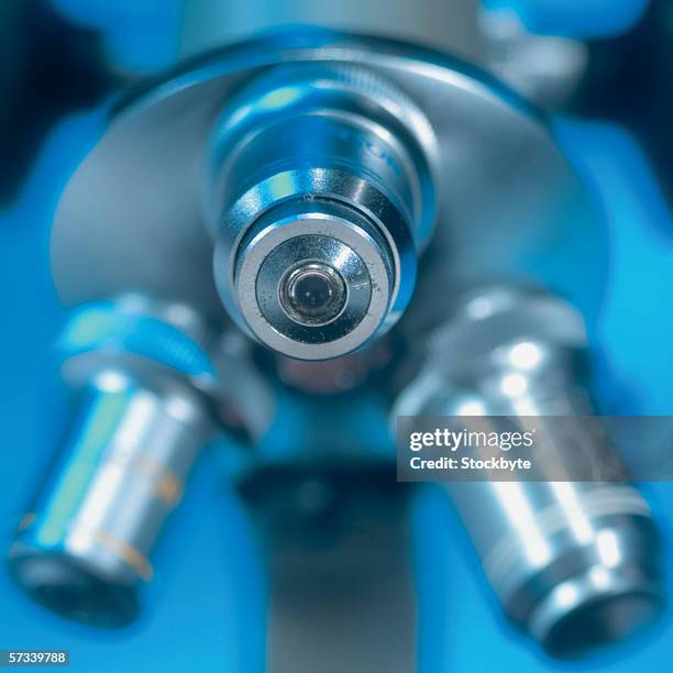 Silver Lab Photos and Premium High Res Pictures - Getty Images