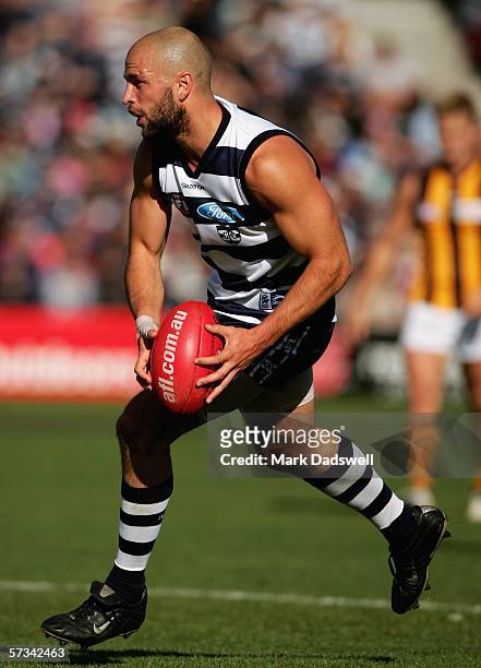 Steve Johnson for the Cats in action during the round three AFL match between the Geelong Cats and the Hawthorn Hawks at Skilled Stadium on April 15,...
