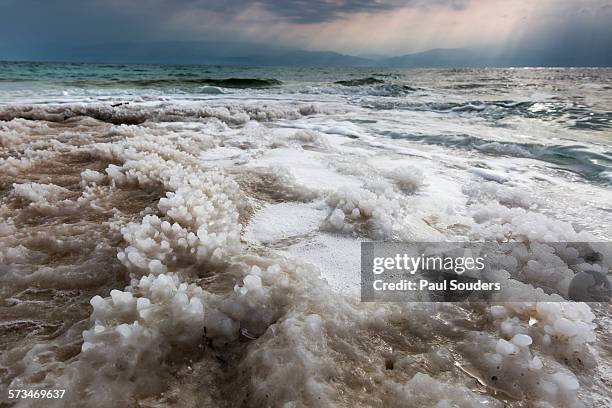 salt flats along dead sea shore, israel - salt flats stock-fotos und bilder