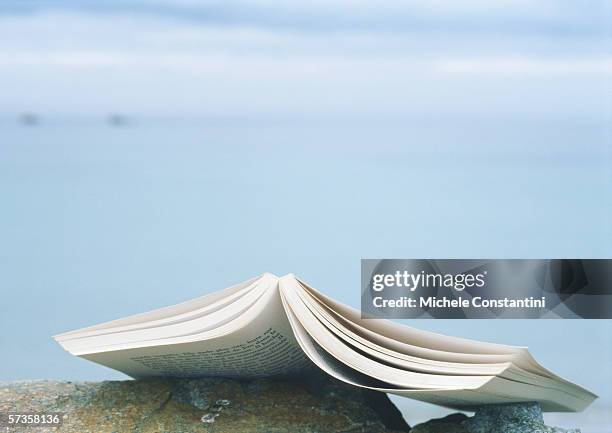 open book laying face down on rock - livre broché photos et images de collection