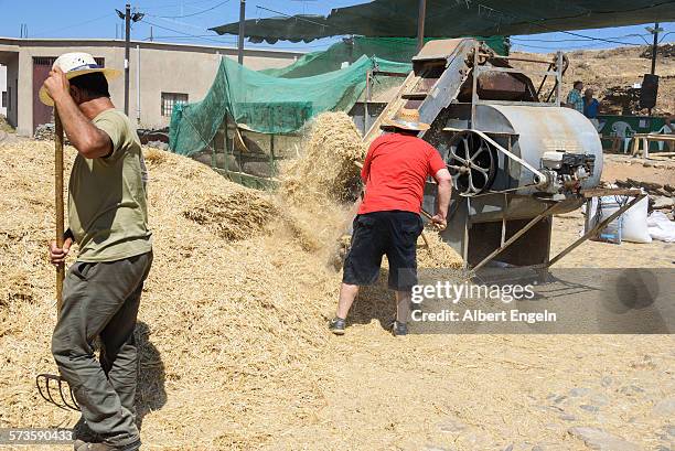 two men uploading traw trough a machine. - abla stock pictures, royalty-free photos & images