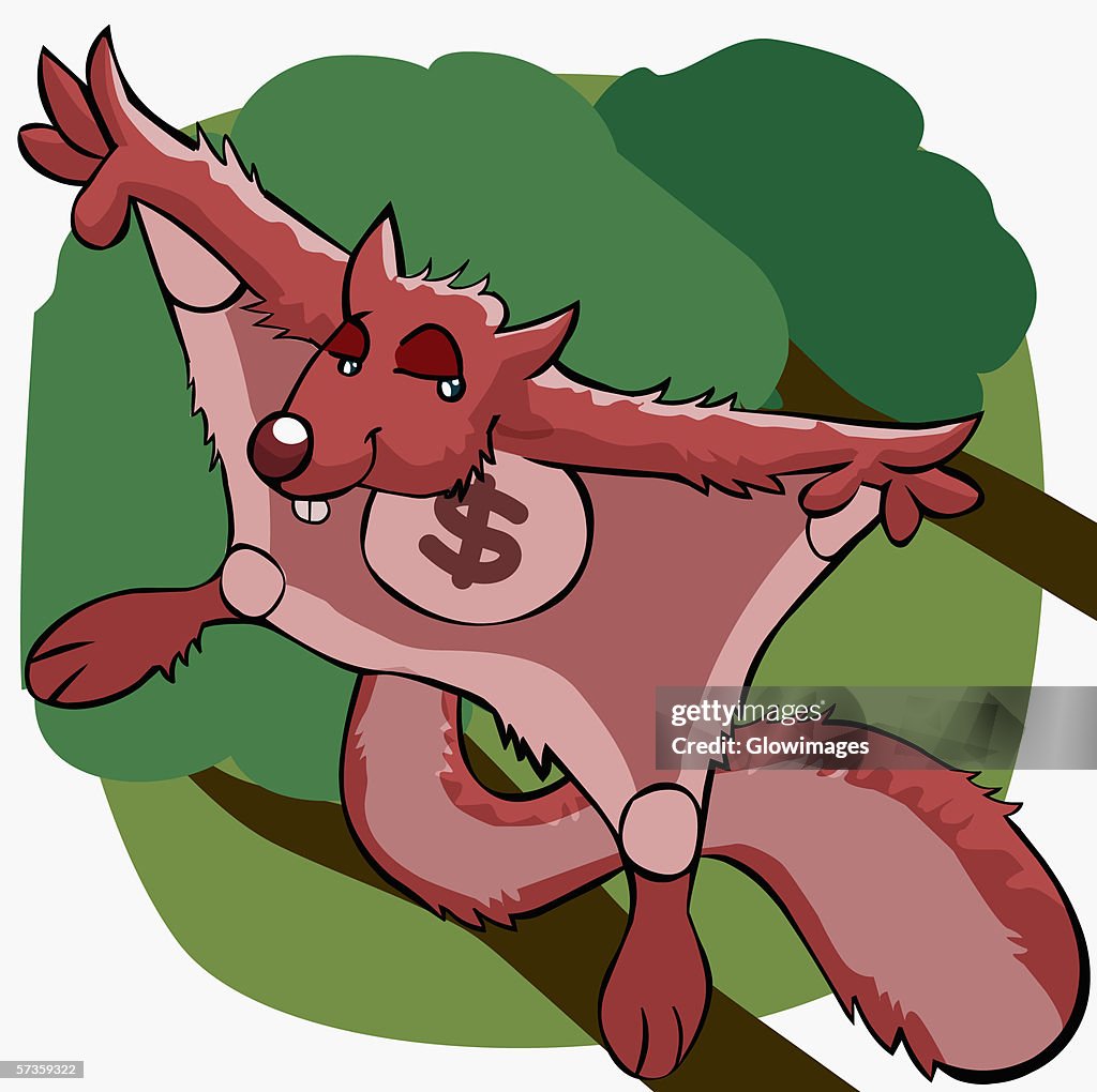 High angle view of a flying squirrel with a dollar sign