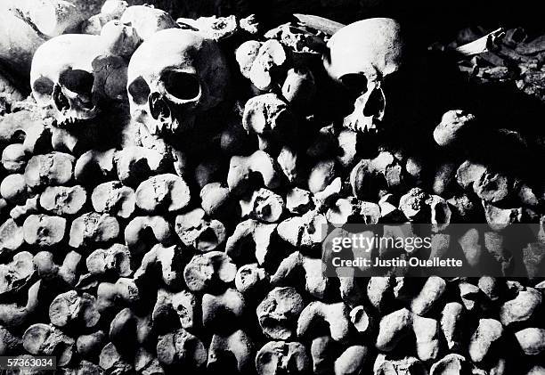 three human skulls on a pile of bones, les catacombes, paris, france - catacombes paris imagens e fotografias de stock