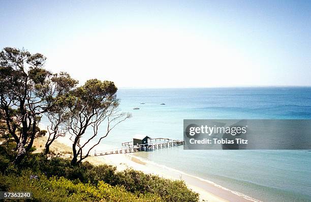 beach view on summer day, port phillip bay, melbourne, australia - bright victoria australia stock pictures, royalty-free photos & images