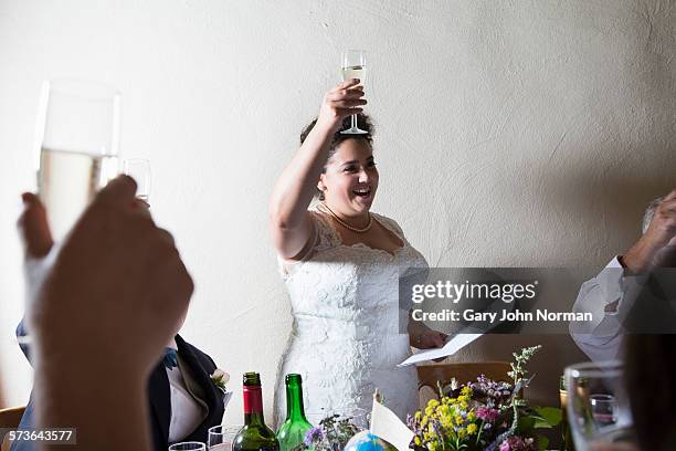 bride making a toast at her wedding. - wedding party stock pictures, royalty-free photos & images