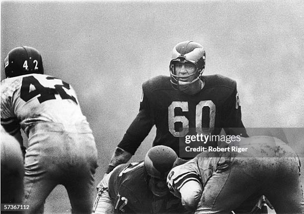 American football player Chuck Bednarik of the Philadelphia Eagles eyes his opponants as Charlie Conerly , quarterback for the New York Giants...