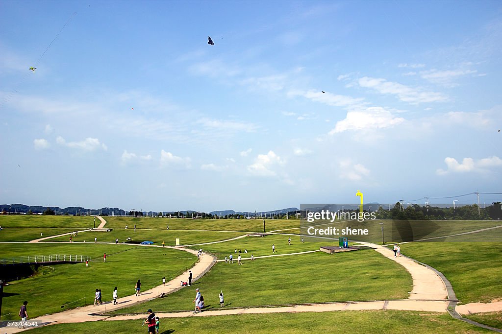 Paju Peace Park Landscape