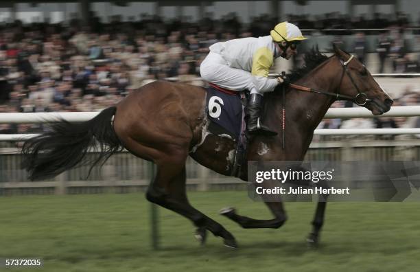 Micheal Hills and Killybegs land The Unicorn Asset Managment Craven Stakes Race run at Newmarket on April 20 in Newmarket, England.