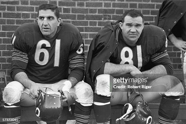 American professional football players and Chicago Bears teammates, defensive line Doug Atkins and linebacker Bill George sit on the bench and hold...
