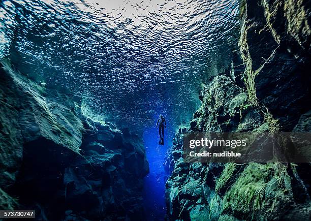 free diving - free diving stock pictures, royalty-free photos & images