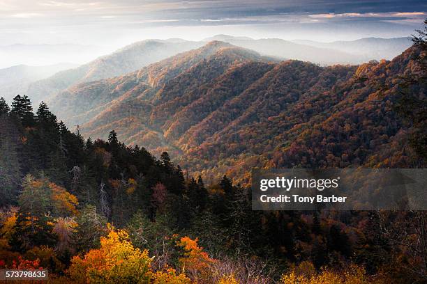 smoky mountain sunrise - montanhas apalaches imagens e fotografias de stock