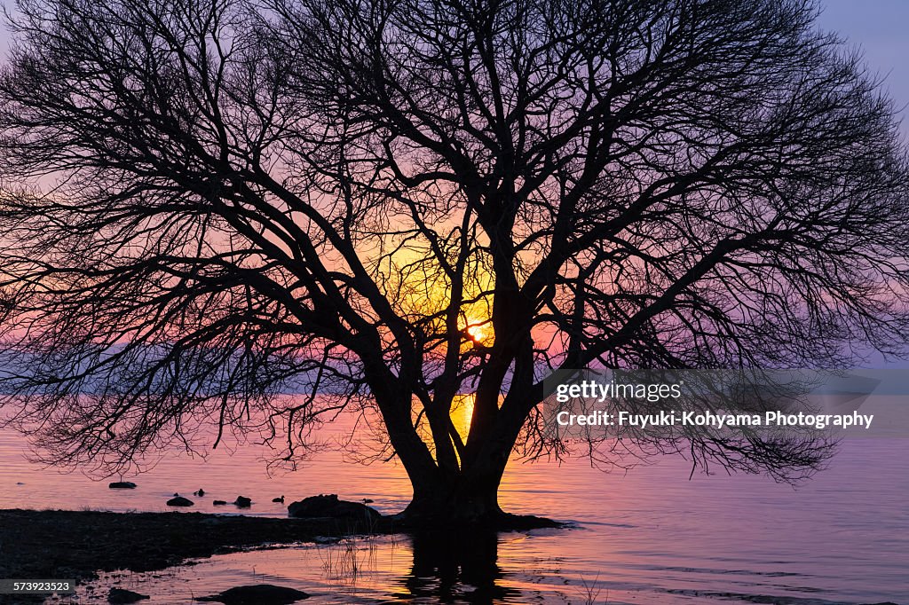 Lake Biwa of sunset, Shiga Prefecture, Japan