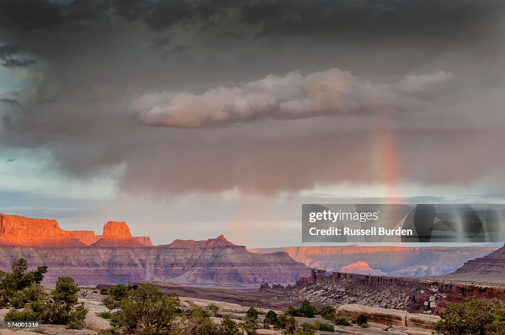 Canyonlands National Park, The Mitten, rainbow