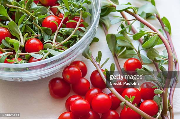 fresh salad of common purslane and cherry tomatoes - portulak stock-fotos und bilder
