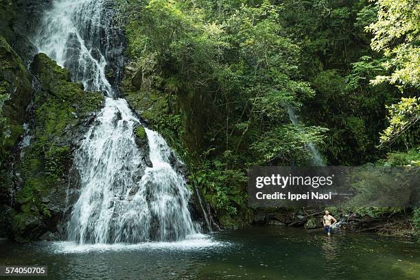 man enjoying waterfall in rainforest - satsunan islands fotografías e imágenes de stock