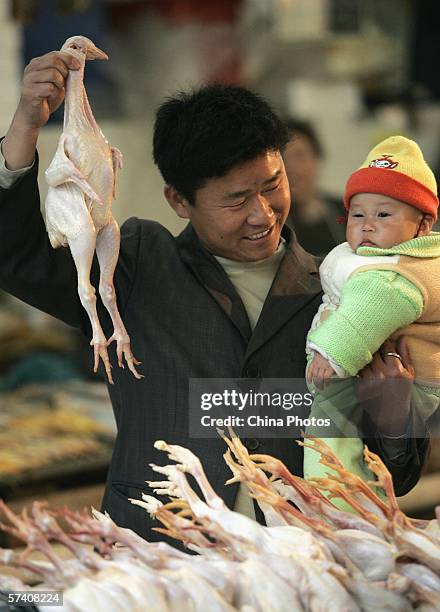 Man shows his kid a slaughtered chicken at a market April 22, 2006 in Shanghai, China. The 17th person in China infected with bird flu has died in...