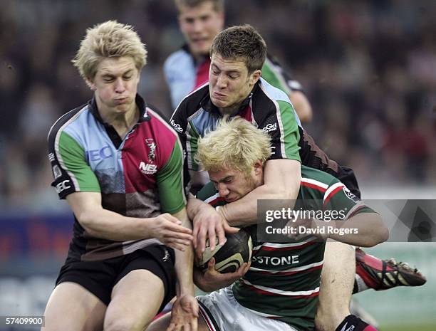 Springall 104 Springall Stock Photos, High-Res Pictures, and Images - Getty Images