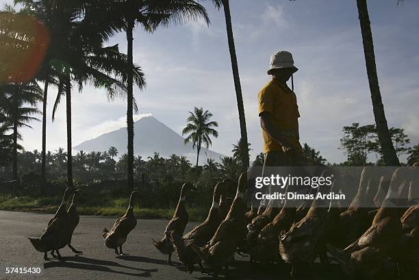 Villagers walk to work past Mount Merapi April 25 in Ketep village, central Java province, 400 km southeast of capital city Jakarta, Indonesia....