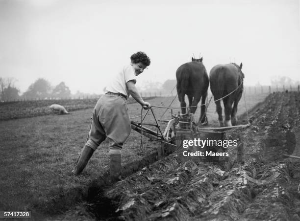 Miss T Poole of the Women's Land Army ploughing a field on a farm at Itton, Monmouthshire where she has worked for a year, 4th November 1940.