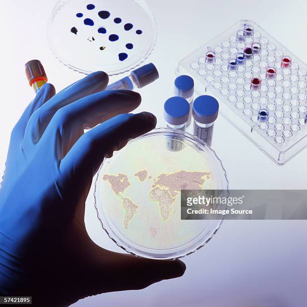 the world in a petri dish - decontamination 個照片及圖片檔
